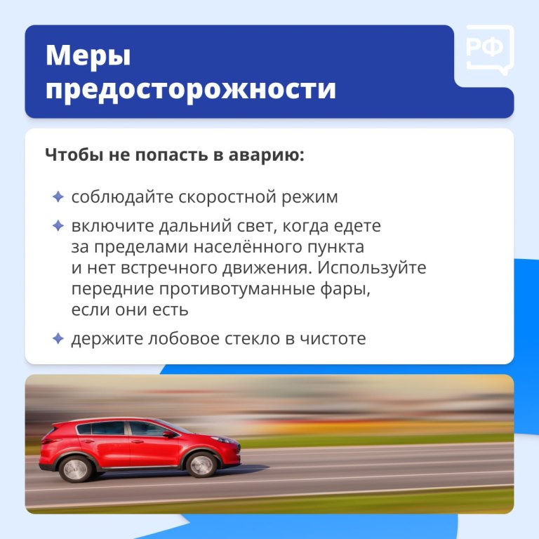 Животные на дороге часто непредсказуемые