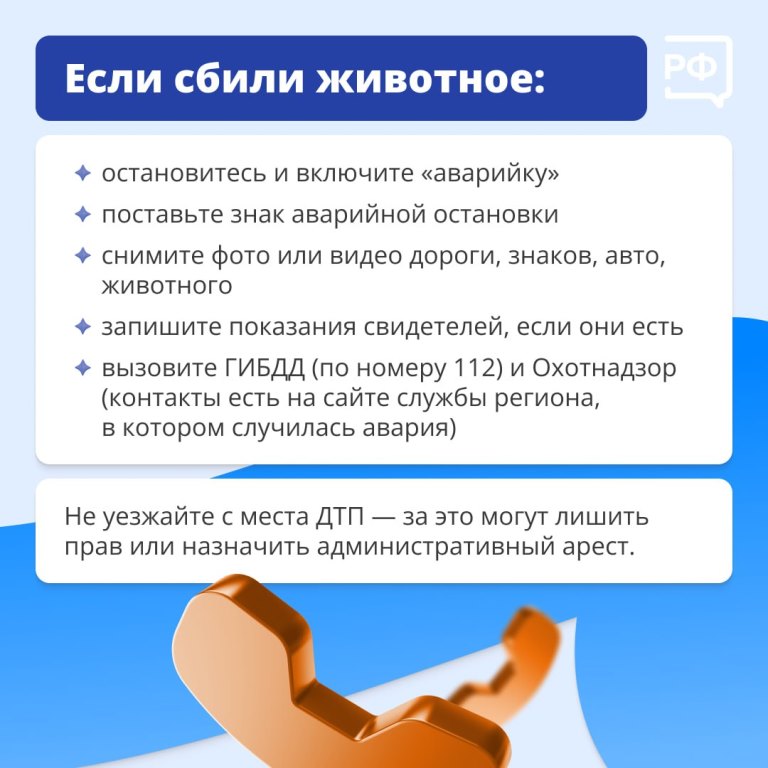 Животные на дороге часто непредсказуемые