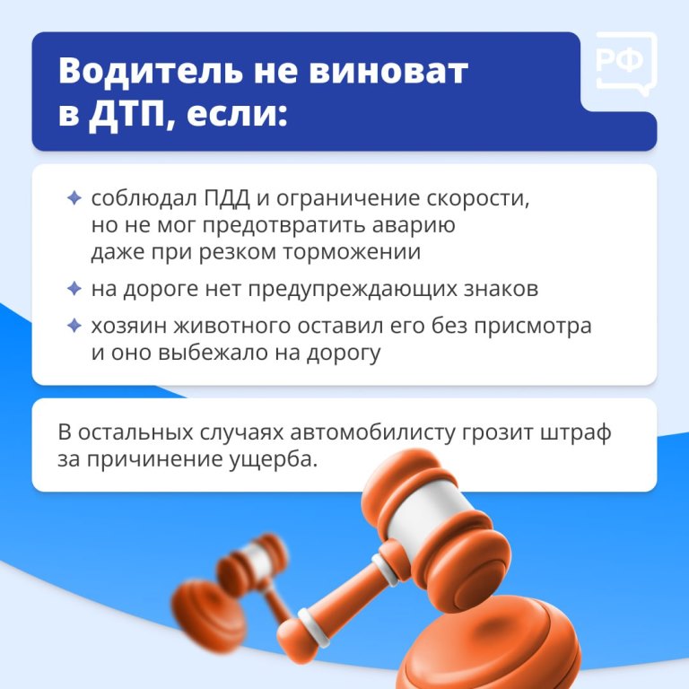 Животные на дороге часто непредсказуемые